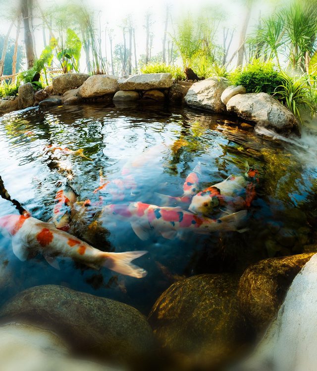 Tiến độ dự án Eco Retreat by Nexus Insight