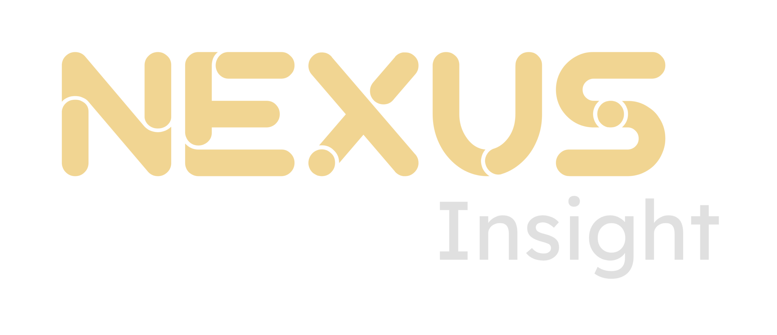 Logo Nexus Insight Ngang